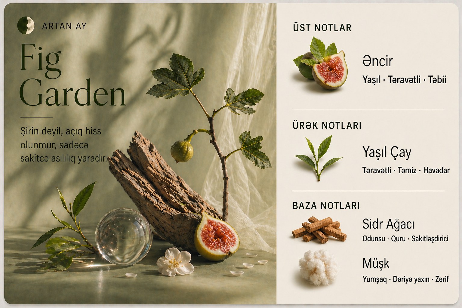 Fig Garden