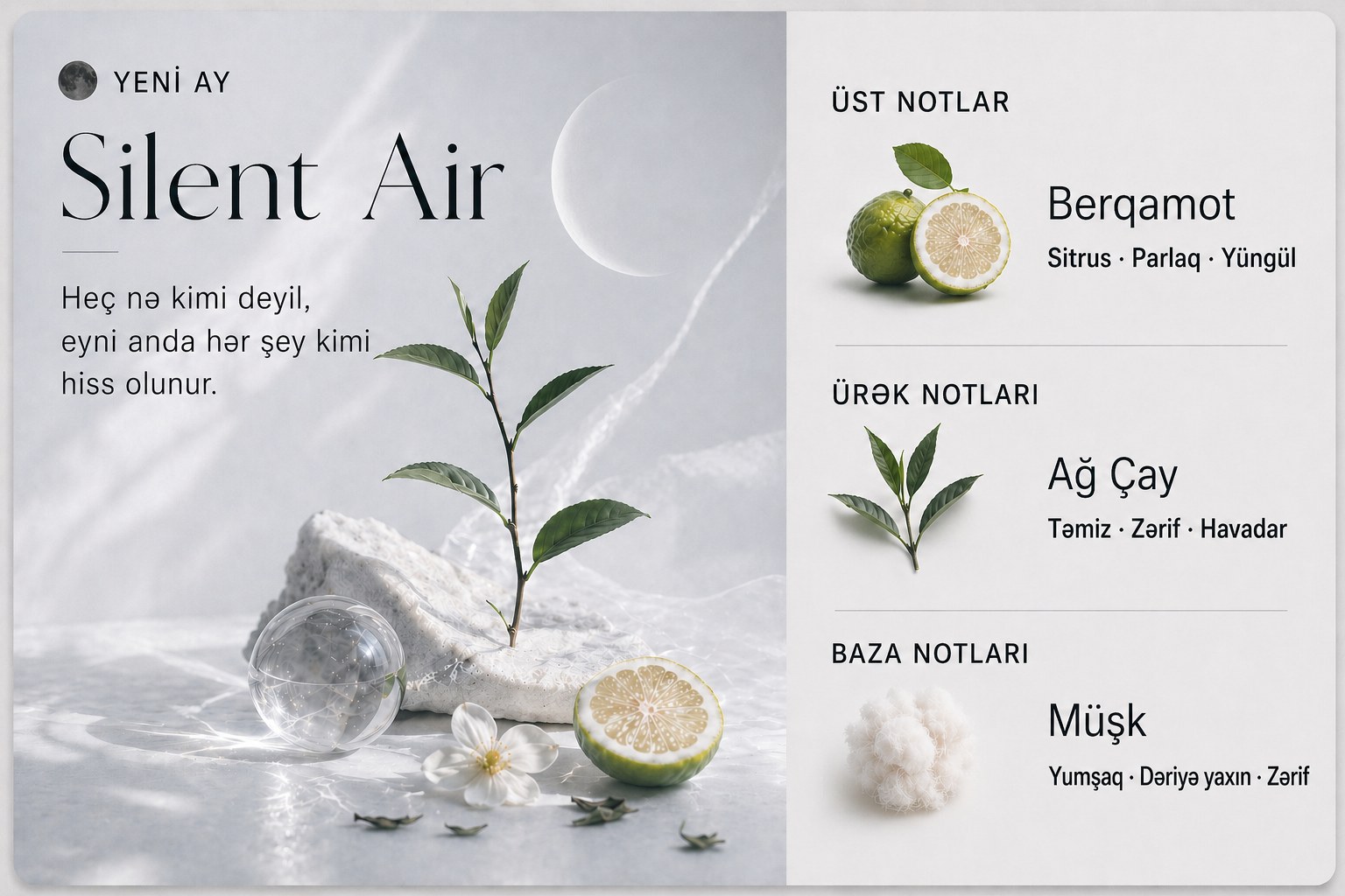 Silent Air
